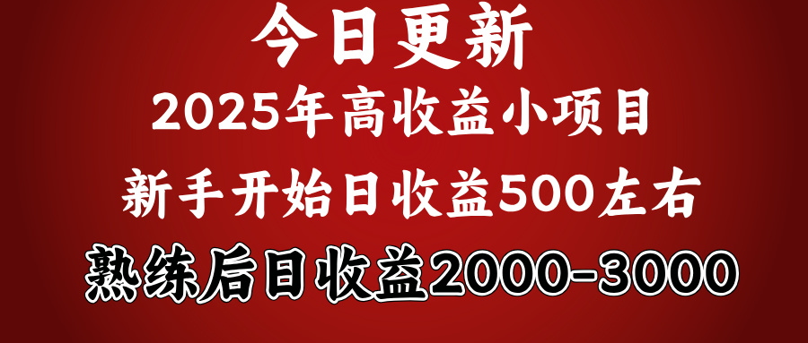 好项目一眼就能看出来,日收益1000,长久可做,2025拼的就是我比你勤奋