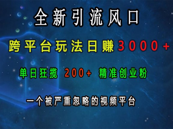 全新引流风口,跨平台玩法日赚3000+,单日狂揽200+精准创业粉,一个被严重忽略的视频平台